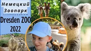 Уютный и красивый Дрезденский Зоопарк-Dresden Zoo'22-стоит посетить