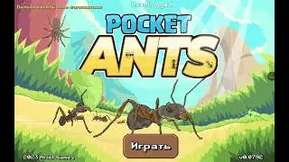 заждались!!!