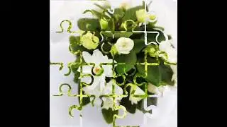 Фиалки у Алисы . Супер микс 💖🌹