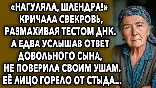 «Нагуляла, шлендра!» кричала свекровь, размахивая тестом ДНК. А едва услышав ответ довольного сына…