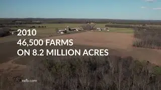 Farm Focus: Virginia Farms
