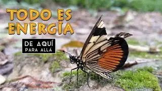 TODO ES ENERGIA / De aquí para allá / El Salvador