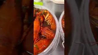 Вкусные раки🦞😋 #ракиоки #раки #seafood #еда #живыераки #вареныераки #крабы #креветки #морепродукты
