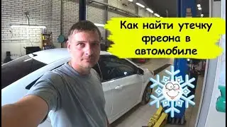 How to Find a Freon Leak in a 2015 Hyundai Solaris