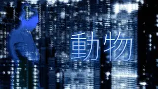 Finn M-K - 動物 (Lyric Video)