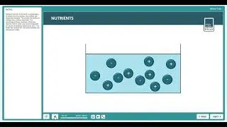 Irrigation Basics in the greenhouse - Основы ирригации в теплице