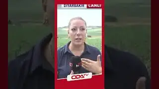Narin'in cansız bedeni bulundu, tv100 muhabiri Canan Altıntaş ağlayarak anlattı #shorts  #narin