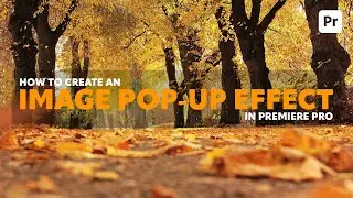 Smooth Image Pop-Up Effect in Premiere Pro | Easy Keyframe Animation Tutorial