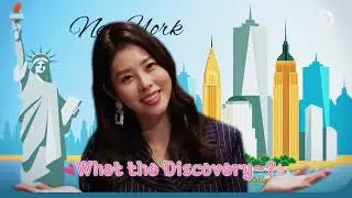 Sneak Peek | What The Discovery