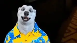 Ходилки-Хуилки отвечает