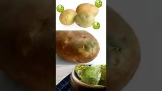 I didn't know this😮🤦‍♀️🤷‍♀️ I thought they caused cancer, but they don't
