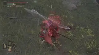 ELDEN RING Crazy PvP LAG