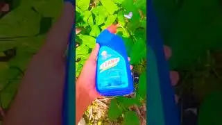 🔥detergent vs harpic reaction😯. easy science expirement. #shorts#m4tech #youtube_shorts