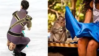 Top 50 Most Amazing Perfectly timed photos