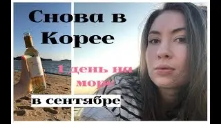 ЖЕЛТОЕ МОРЕ В КОРЕЕ/ Где отдохнуть и посмотреть на закат? Masiran Beach