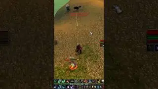⚡️1v2 Druid VS r13 Hunter + Geared Warrior ⚡️World PvP 