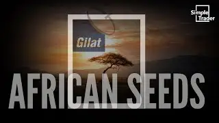 🔥GILAT🔥 Gilt Stock Will EXPLODE on Earnings (Huge Contract Win!)