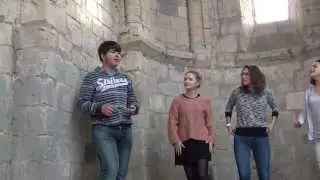 Un voyage fantastique