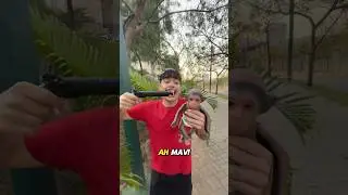 Meu PORCO ESPINHO assiste FILME 🙊