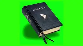 Holy bible green screen video