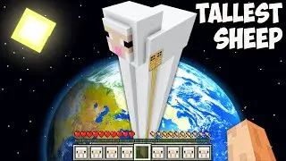 I found THE TALLEST SHEEP HOUSE in Minecraft! This is THE BIGGEST SECRET SHEEP!