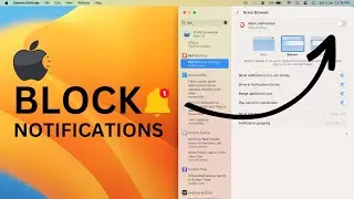 How to Turn off Notifications on MacBook? | Mac Notification Settings