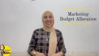 Marketing budget allocation