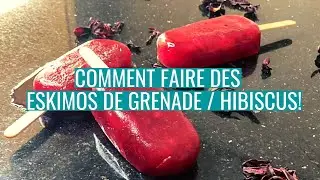 COMMENT FAIRE DES ESKIMOS GRENADE / HIBISCUS!