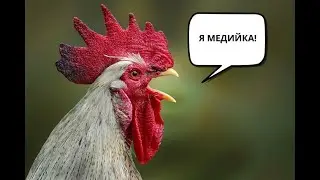 Разоблачение Стаса Михайлова некст рп