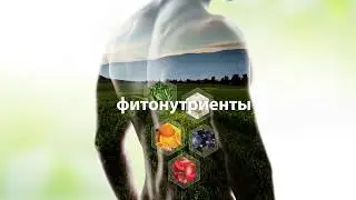Комплекс Double X от Nutrilite | Витамины, минералы и фитонутриенты | Amway