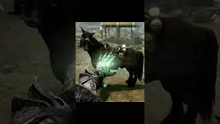 Level Up Illusion Fast in Skyrim! Master the Magic from 1-100! ✨