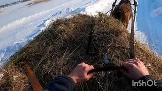 Village adventures. Hay transportation by horse.