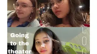 Vlog