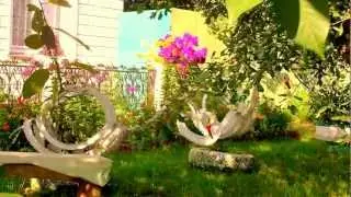 Резиновые гуси-лебеди