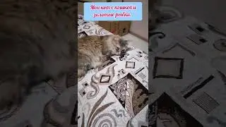 Плед техникой Печворк спицами 