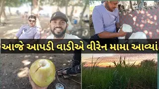 આજે આપડી વાડીએ વીરેન મામા આવ્યાં//સસલાં માટે દવા લઈ આવ્યા #horse #horsevideo #kathiyawadi_horse