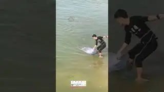 #shorts #trending #awesome #trendingshorts #funnyvideo #shortsvideo #viral #fishing #fisherman