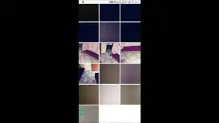 How to Recover Google Photos| Google Photos Recovery