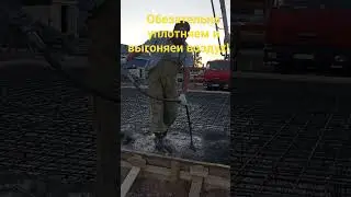 18 июня 2023 г.