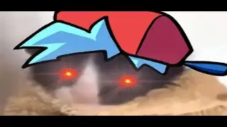 Madness got me like 😳 [EXTENDED]