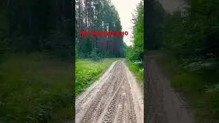 Техника Хо-опонопоно ! Переключи внимание на « здесь и сейчас » , измени эмоции на положительные
