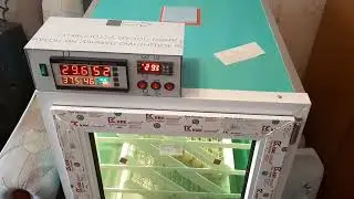 Инкубатор на 400 яиц инкубация бройлера, отключили свет.