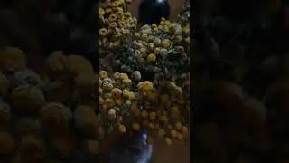 КАК ВИДЯТ ВАС МУЖЧИНЫ И ЧТО ЖДЕТ?/ Таро онлайн расклад