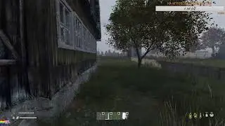 DAYZ BITCH