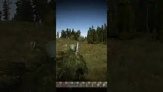 Крыса ждала меня под кустами #dayz #dayzshorts #dayzstandalone #sueta