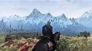 WITCHER 3 - LIKE NEVER BEFORE! I Ray Tracing I Photorealistic Reshade I 50 + Mods