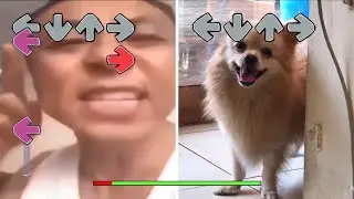 Fnf Pico mod but its Angry Asian Man Yelling at Happy Dog (Friday Night Funkin)