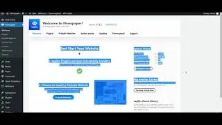 WordPress Newspaper 11 Theme Activated