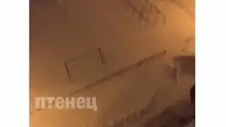 Черная любовь