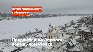Предвыборные страсти под крылом уточки
